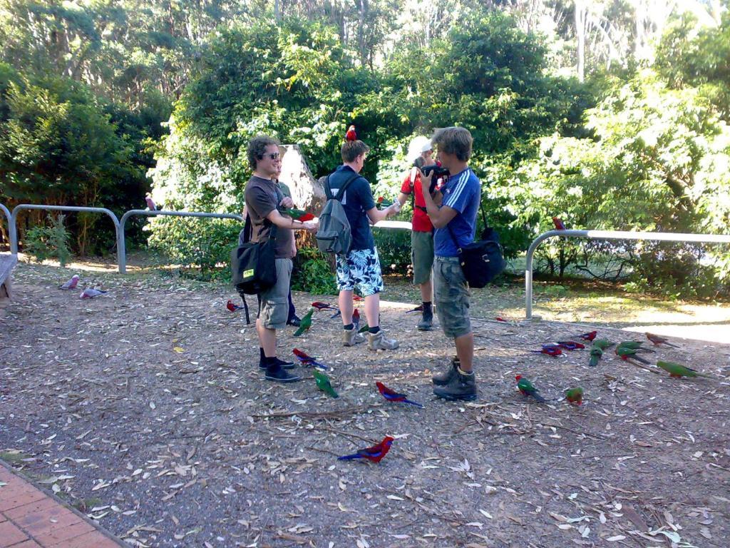 Batemans Bay Holiday Park & Hostel Eksteriør bilde